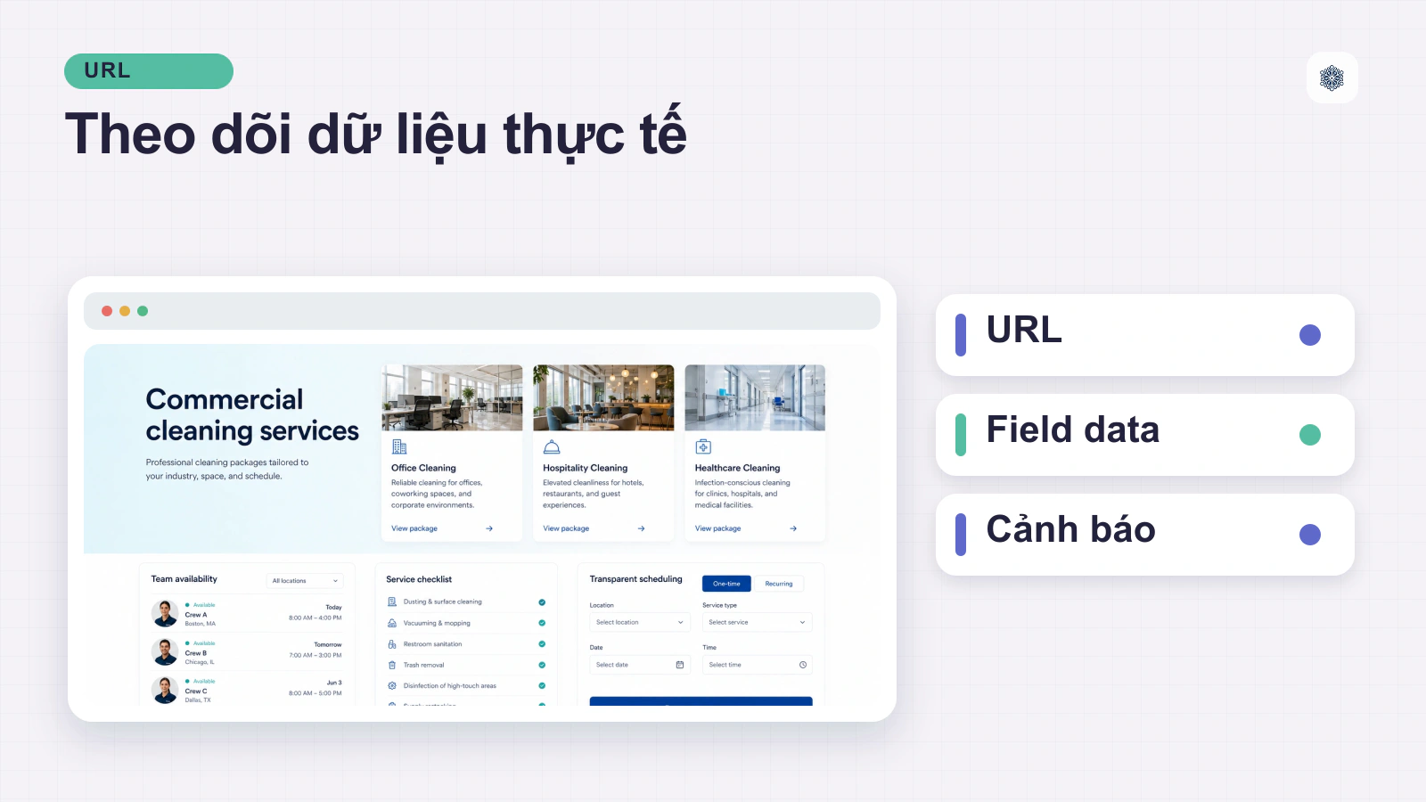 Công Cụ Đo Lường và Phân Tích Core Web Vitals